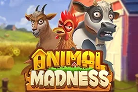 Animal Madness